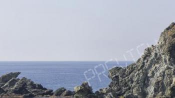 photo_424